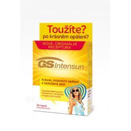 GS Intensun cps.30
